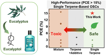 Graphical abstract: High-performance, ambient-processable organic solar cells achieved by single terpene-based entirely eco-friendly process