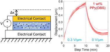 Graphical abstract: Design and characterization of an adaptive polymer electrolyte for lithium metal solid-state battery applications