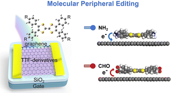 Graphical abstract: Highly efficient organic–graphene hybrid photodetectors via molecular peripheral editing