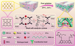 Graphical abstract: Tough and adhesive conductive hydrogels with fast gelation from a polyphenol–aluminium ion dual self-catalysis system for wearable strain sensors and triboelectric nanogenerators