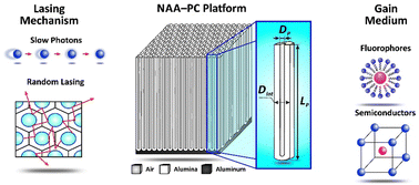 Graphical abstract: Nanoporous anodic alumina photonic crystals for solid-state lasing systems: state-of-the-art and perspectives