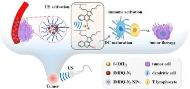 Graphical abstract: Ultrasound-responsive azide nano-prodrugs enable spatiotemporal activation of TLR7/8 agonists for tumor therapy