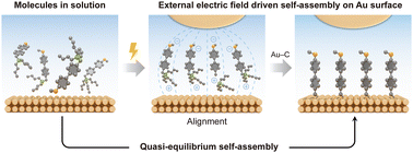 Graphical abstract: Electric-field-promoted assembly of asymmetric junctions for single-molecule rectifiers