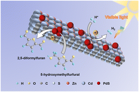 Graphical abstract: PdS-modified ZnCdS nanorods for photocatalytic anaerobic oxidation of 5-hydroxymethylfurfural coupled with hydrogen evolution