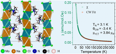 Graphical abstract: One-dimensional magnetic halide double perovskites [N(CH3)4]2MIMoCl6 (MI = Na, Ag) with large A-site cations