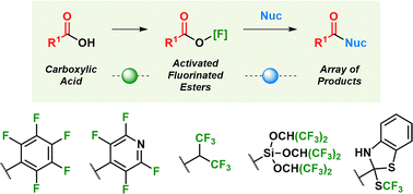 Graphical abstract: Recent developments in the use of fluorinated esters as activated intermediates in organic synthesis