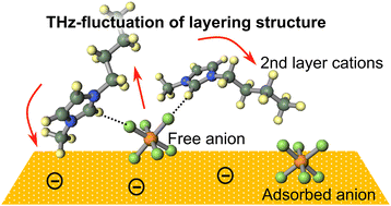 Graphical abstract: Structures and terahertz dynamics of an imidazolium-based ionic liquid on a gold electrode studied using surface-enhanced Raman scattering