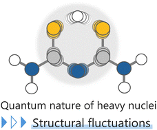 Graphical abstract: Nuclear quantum effects on intramolecular hydrogen bonds and backbone structures in biuret analogues