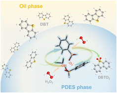 Graphical abstract: Tuning the electronic structure of phosphonic acid-based deep eutectic solvents for synergistic catalytic oxidative desulfurization