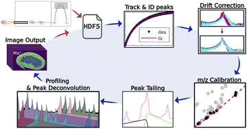 Graphical abstract: AutoSpect: an all-in-one software solution for automated processing of LA-ICP-TOF-MS datasets