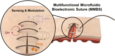 Graphical abstract: Multifunctional microfluidic bioelectronic suture for accelerated healing and wound monitoring