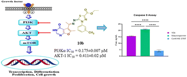 Graphical abstract: Novel furo[2,3-d]pyrimidine derivatives as PI3K/AKT dual inhibitors: design, synthesis, biological evaluation, and molecular dynamics simulation