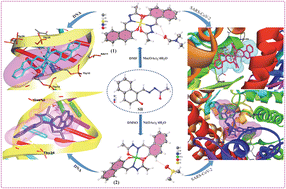 Graphical abstract: Synthesis and design of manganese and nickel complexes with potential anticancer and antibacterial activities and antiviral properties for therapeutic applications