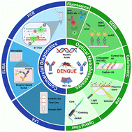 Graphical abstract: Dengue diagnostics: from commercial tests to optical nanosensors