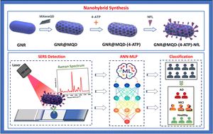 Graphical abstract: Ultrasensitive SERS-LFA for the detection of neurofilament light chain and machine learning-assisted Alzheimer's disease classification