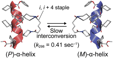 Graphical abstract: Stabilization of optically inactive α-helices of peptidic foldamers through sequence control and i, i + 4 stapling