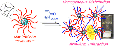 Graphical abstract: Structure–property correlation of hydrogels obtained via radical polymerization using the central cores of multiarm star polymers as crosslinkers