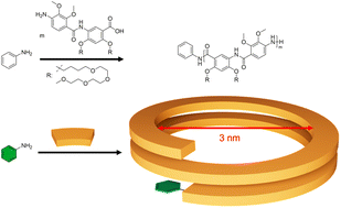 Graphical abstract: Large aromatic amide helices via living polycondensation