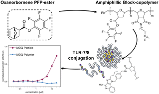 Graphical abstract: Immunostimulatory pH-responsive nanogels derived from poly(oxanorbornene) precursor polymers