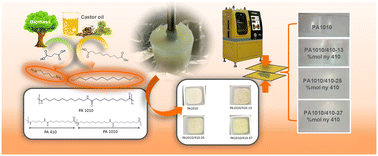 Graphical abstract: Synthesis and characterization of copolyamide 1010/410 with varying putrescine contents for meat packaging applications