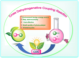 Graphical abstract: Visible light-induced cross-dehydrogenative coupling of N-heterocyclic compounds: green and efficient synthetic strategies