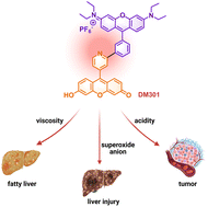 Graphical abstract: A versatile NIR probe for multifunctional detection of tumors, fatty liver, and liver injury
