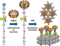 Graphical abstract: Surface inclusion and dynamics of cucurbit[7]uril-based supramolecular complexes