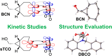 Graphical abstract: Temperature–dependent reaction rates of quinone-alkene cycloaddition reveal that only entropy determines the rate of SPOCQ reactions