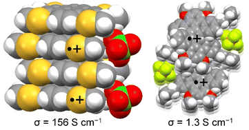 Graphical abstract: Robust π-conjugated radical cations