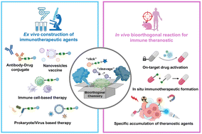 Graphical abstract: A powerful bioorthogonal toolbox boosting the development of immune theranostics