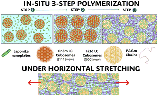 Graphical abstract: Design of ultra-stretchable physical hydrogels cross-linked by cubosomes: structural changes revealed by SANS during in situ polymerisation and mechanical deformation