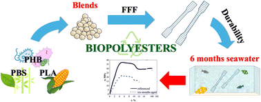 Graphical abstract: Environmental degradation and durability of bulk 3D-printed parts from biodegradable polyester blends of PBS, PLA, and PHB in seawater