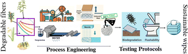 Graphical abstract: Environmental challenges of disposable wipes: causes, impacts, and sustainable solutions