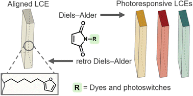 Graphical abstract: Synthesis of photoresponsive liquid crystal elastomers: a general chemical approach