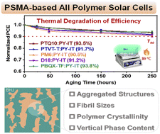 Graphical abstract: Discerning morphological evolution under thermal stress in polymerized small molecular acceptor-based all polymer solar cells