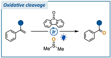 Graphical abstract: Oxidative cleavage of α-substituted styrenes using excited dibenzothiophene S-oxide and DMSO