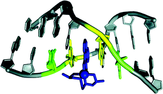 Graphical abstract: Metallo-intercalators and metallo-insertors