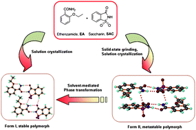 Graphical abstract: Dimorphs of a 1 : 1 cocrystal of ethenzamide and saccharin: solid-state grinding methods result in metastable polymorph