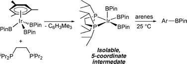 Graphical abstract: Getting the sterics just right: a five-coordinate iridium trisboryl complex that reacts with C–H bonds at room temperature