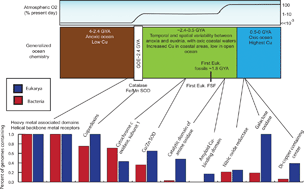 Graphical abstract: Copper toxicity and the origin of bacterial resistance—new insights and applications