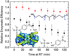 Graphical abstract: Enhanced activity and stability of organophosphorus hydrolase via interaction with an amphiphilic polymer