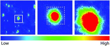 Graphical abstract: Rapid biodiagnostic ex vivo imaging at 1 μm pixel resolution with thermal source FTIR FPA