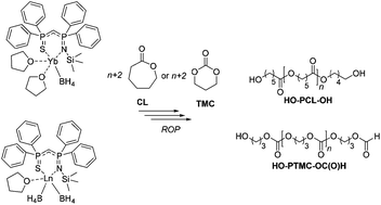 Graphical abstract: (Iminophosphoranyl)(thiophosphoranyl)methane rare-earth borohydride complexes: synthesis, structures and polymerization catalysis
