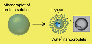 Graphical abstract: Microfluidic protein crystallisation controlled using spontaneous emulsification