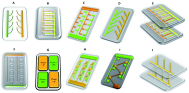 Graphical abstract: Single-cell analysis based on lab on a chip fluidic system