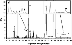 Graphical abstract: Analysis of amino acids, proteins, carbohydrates and lipids in food by capillary electromigration methods: a review