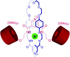 Graphical abstract: Anion recognition in water by a rotaxane containing a secondary rim functionalised cyclodextrin stoppered axle