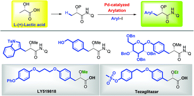 Graphical abstract: Palladium-catalyzed C(sp3)–H arylation of lactic acid: efficient synthesis of chiral β-aryl-α-hydroxy acids