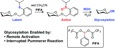 Graphical abstract: Glycosylation via remote activation of anomeric leaving groups: development of 2-(2-propylsulfinyl)benzyl glycosides as novel glycosyl donors