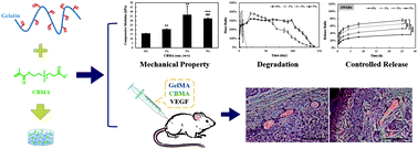 Graphical abstract: Gelatin methacrylate/carboxybetaine methacrylate hydrogels with tunable crosslinking for controlled drug release